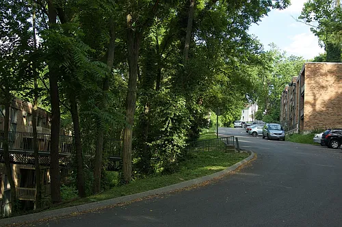 Clifton Woods Photo 1