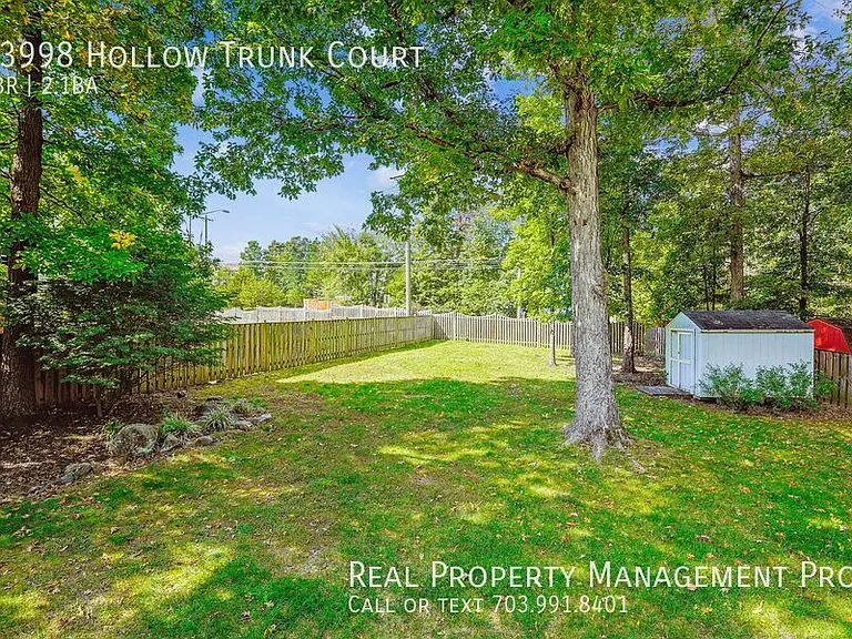 13998 Hollow Trunk Ct — Photo 16
