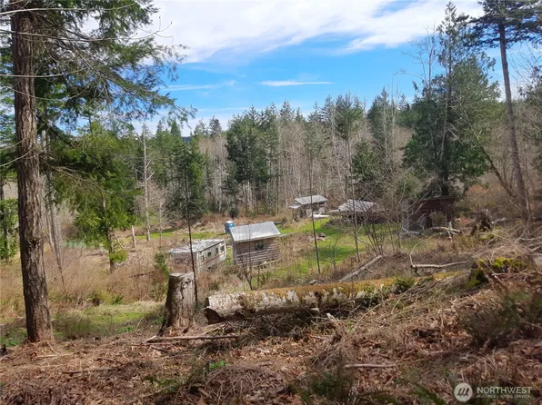 999 Carl Johnson Road, Quilcene, WA 98382