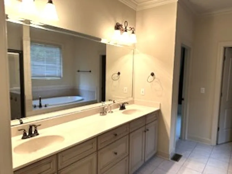 217 Asheton Lakes Way — Photo 9