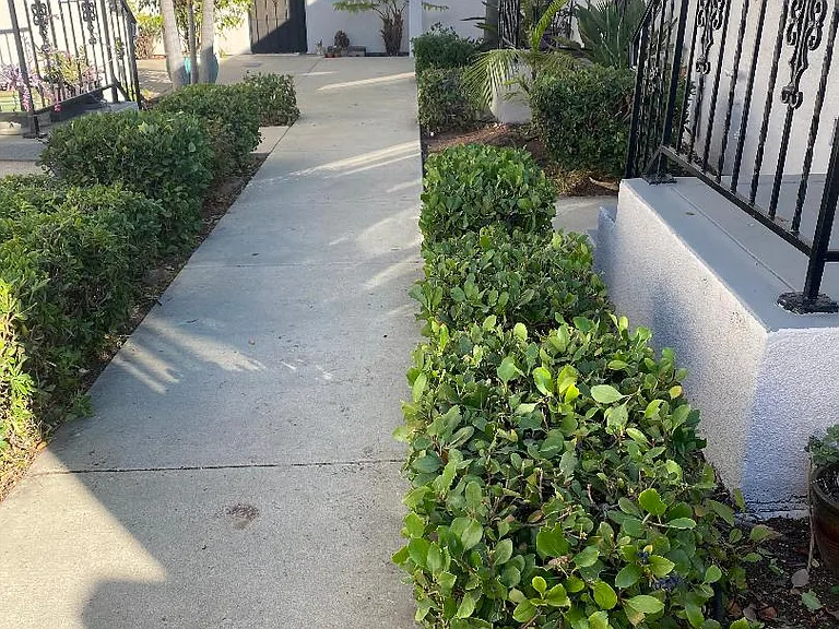 4529 Cleveland Ave #C — Photo 11