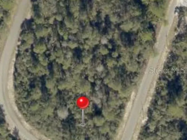 Fisher Way Trak Lot 19, Ocklawaha, FL 32179