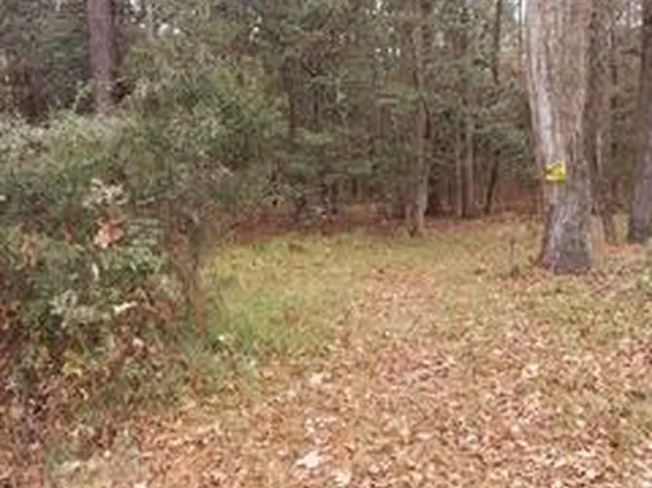LOT 208 Prices Bridge Ln, Walterboro, SC 29488