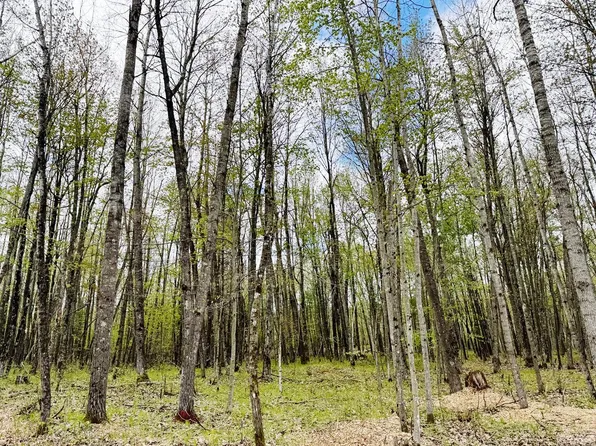 Lt4 CARRIE LANE, Beaver, WI 54114