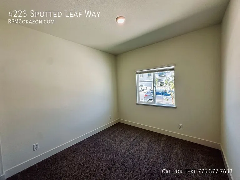 4223 Spotted Leaf Way — Photo 27