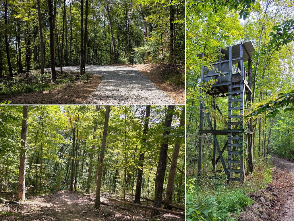 Real estate listing image