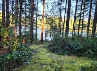 2161 NE Tee Lake Rd, Tahuya, WA 98588