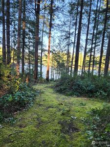 2161 NE Tee Lake Road, Tahuya, WA, 98588