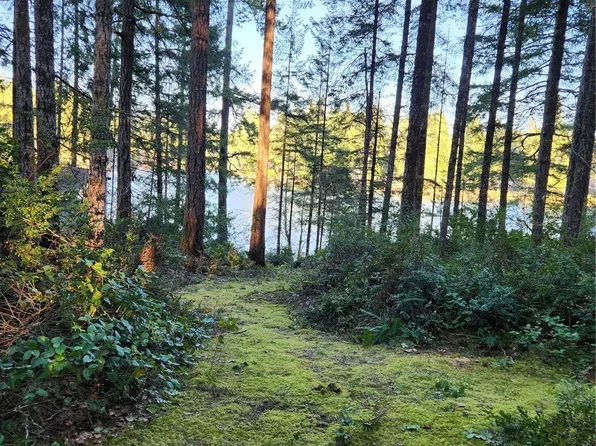 2161 NE Tee Lake Road, Tahuya, WA 98588