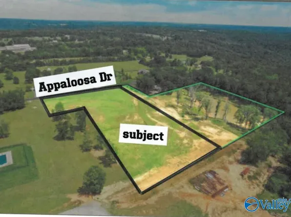 4.85 Appaloosa Dr, Albertville, AL 35951