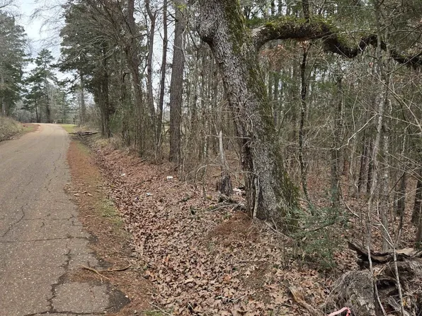 0 County Road 3206, Laneville, TX 75667