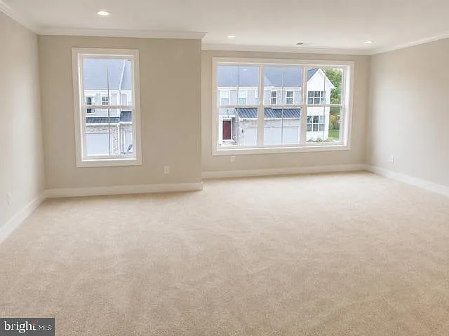 51 Sassafras Ln — Photo 5