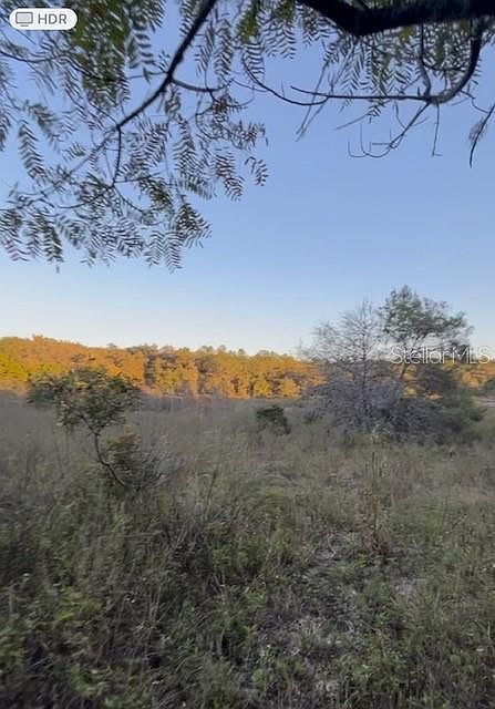 2nd image of 272 Riviera Ln