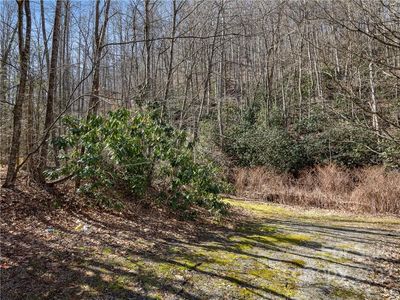 118 & 130 Saw Branch Rd, Candler, NC, 28715