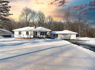 7989 Gildersleeve Dr, Kirtland, OH 44094