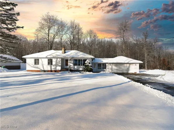 7989 Gildersleeve Dr, Kirtland, OH 44094