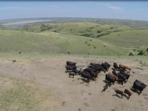 337th Avenue & 260th Street Ave, Gregory, SD 57533