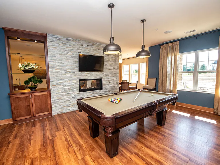 Billiards Room with Darts, Fireplace, TV, and Bar