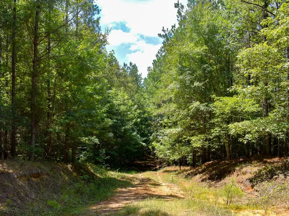0 Grant Rd, Vina, AL 35593