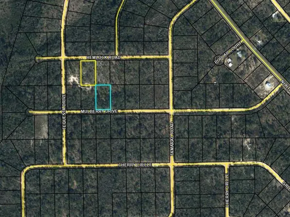 Mulberry Drive And Hemlock Rd Lot 10 & Lot 6, Marianna, FL 32448