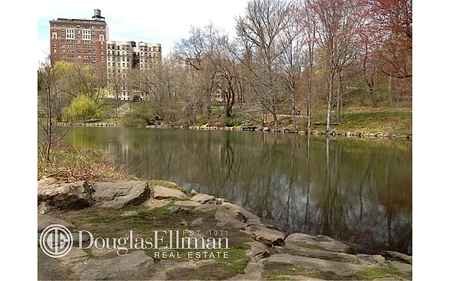 Sold by Douglas Elliman | media 11