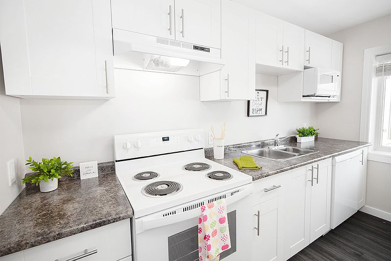 Winnipeg Apartment for rent - 1 Bedroom — photo 11