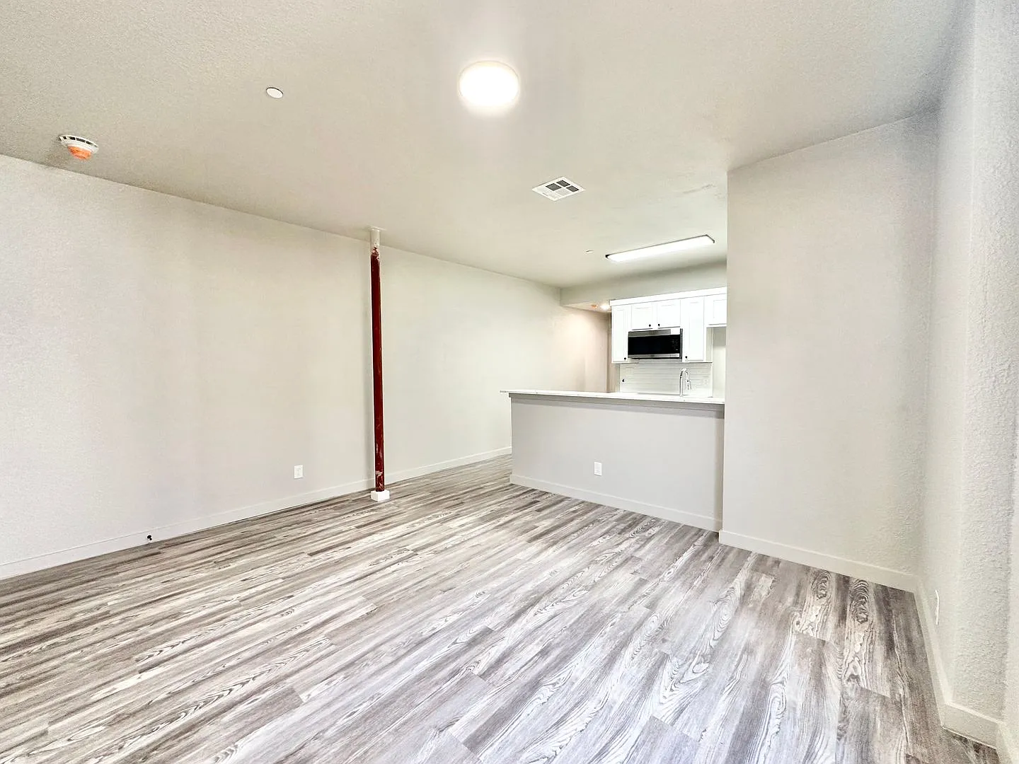 Modern Studio & 1-Bedroom Apartments in Prime Denton Location — Photo 4