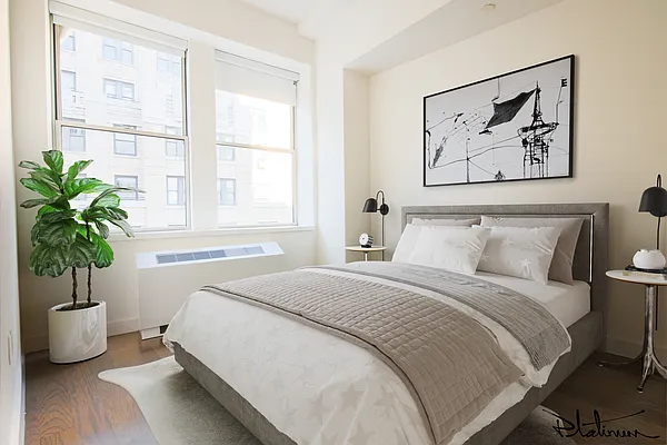 Rented by Platinum Properties | media 3