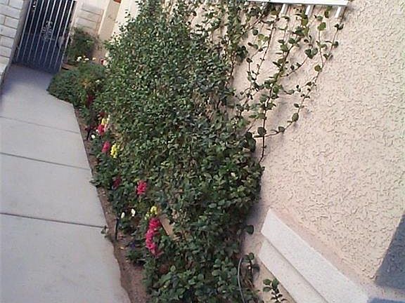 4th image of 8805 Square Knot Ave