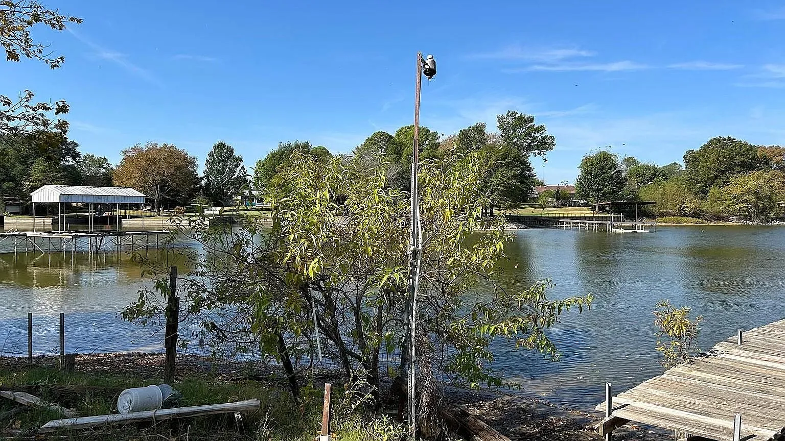 3 bed, 1270 sqft, $1,595 — Photo 4