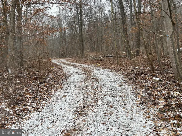 LOT 198 Reed Rd, Knoxville, MD 21758