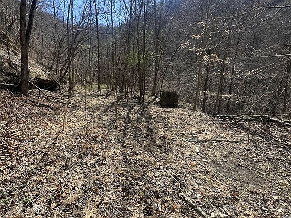 2nd image of 97 Curt Conway Rd