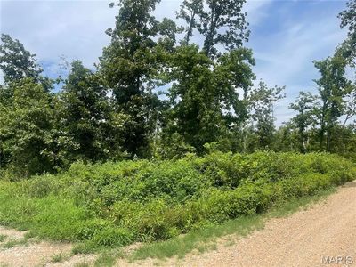 0 County Road 315, Poplar Bluff, MO, 63901