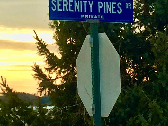 3rd image of 0 Serenity Pines Dr Lot 4