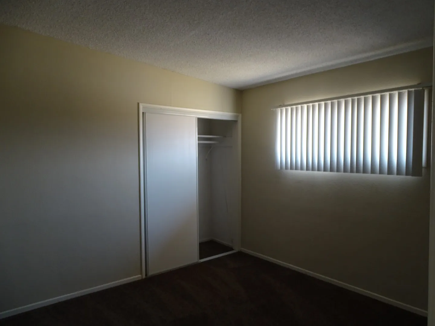 3 Bed 1 Bath — Photo 3