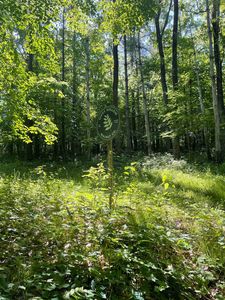 5083 Hippy Hollow Rd, Potosi, WI, 53820