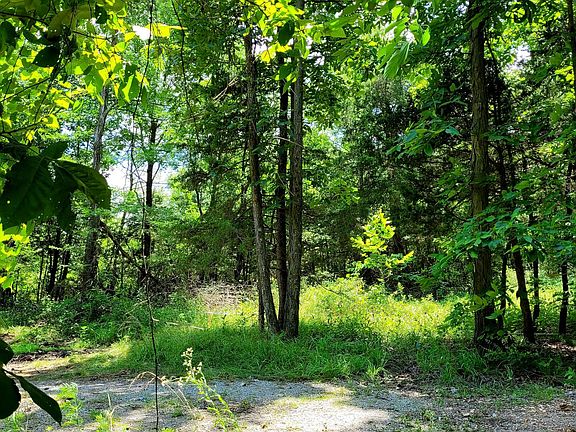 4th image of 226 County Road 940