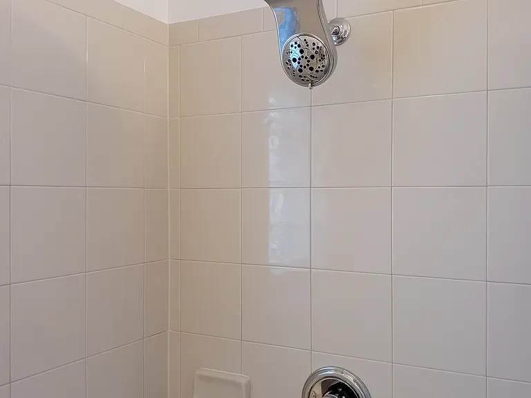 Master shower
