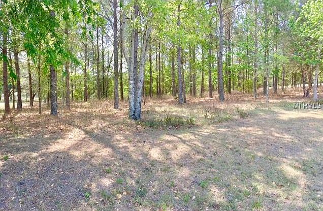 2nd image of 18078 Hancock Bluff Rd