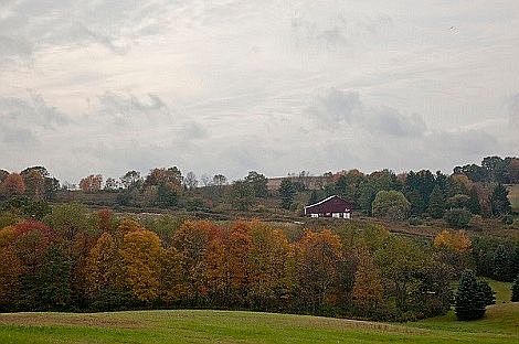 3rd image of 32 Klaka Ln