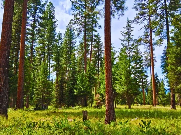 Nhn Hollopeter Rd, Condon, MT 59826