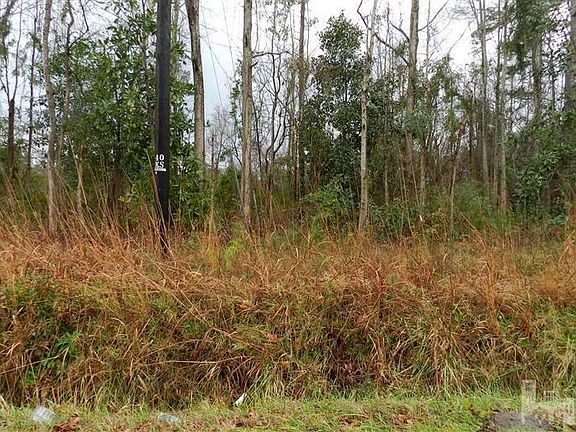 3rd image of 1916 Rockhill Road