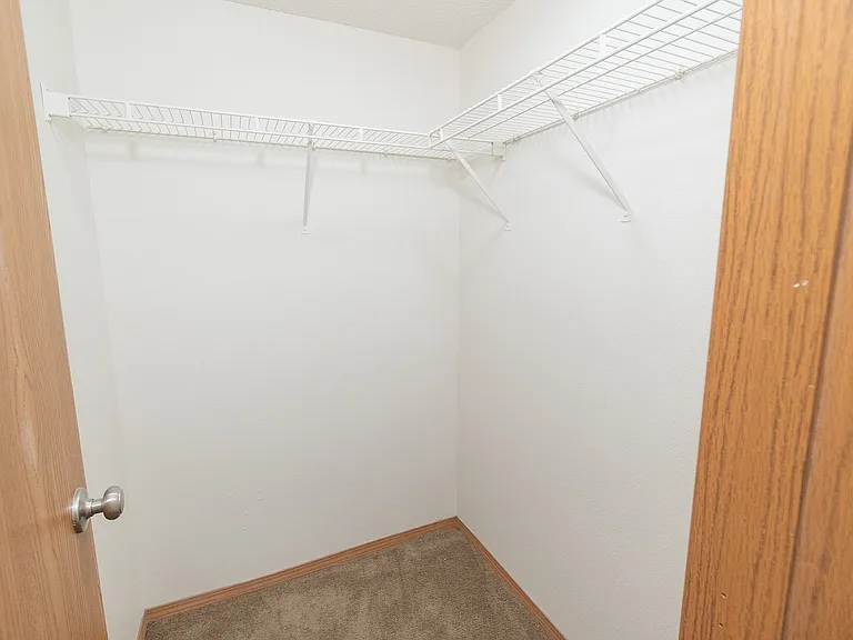 Main Bedroom Closet Space
