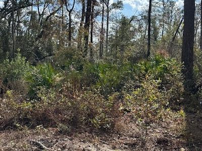 SW 74tth Way, Jasper, FL, 32052