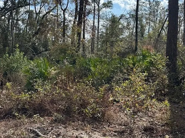 SW 74tth Way, Jasper, FL 32052