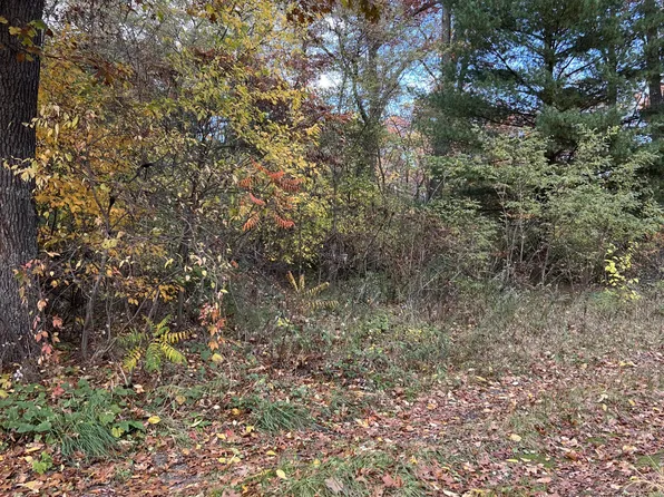 V/l W Ashland, Twin Lake, MI 49457