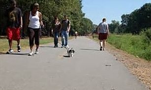 Conway walking trail