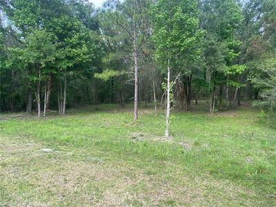 (Undisclosed Address), Williston, FL, 32696