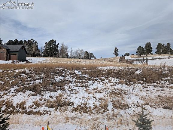 4th image of 307 Pinaceae Hts