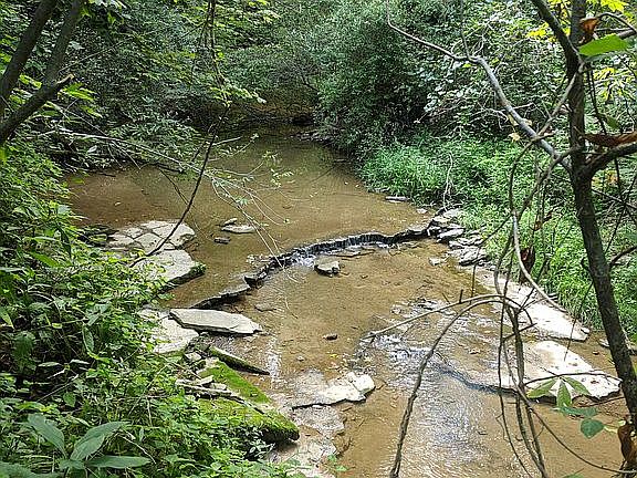 Creek